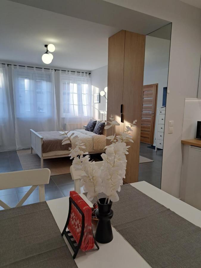 Apartamenty Tuznikowie カジミエシュ・ドルニ エクステリア 写真
